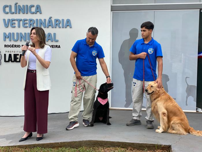 imagem galeria